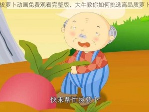 拔萝卜动画免费观看完整版，大牛教你如何挑选高品质萝卜