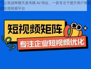 寸止挑战榨精天美传媒 AV 网址，一款专注于提升用户体验的在线视频平台