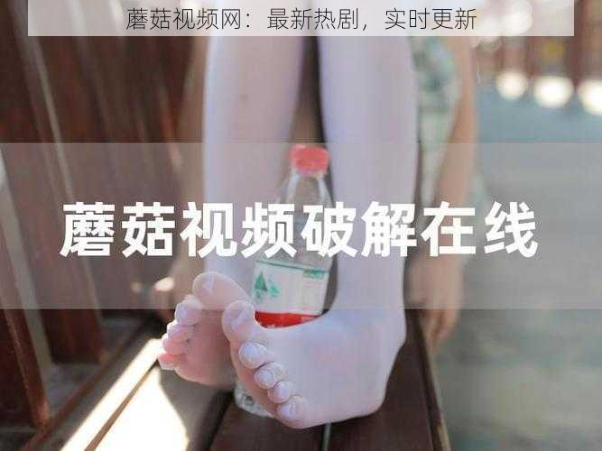 蘑菇视频网：最新热剧，实时更新