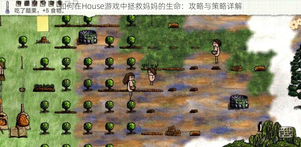 如何在House游戏中拯救妈妈的生命：攻略与策略详解